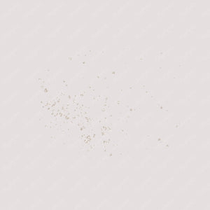 70 Champagne Glitter Particles Set PNG Overlay Images