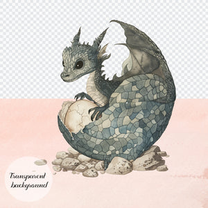 80 Watercolor Medieval Fantasy Dragon Royal Knight PNG Clip Arts