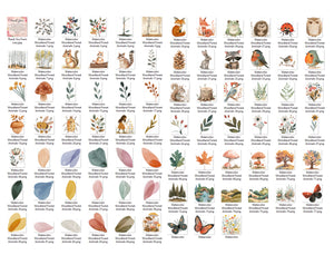 80 Watercolor Woodland Forest Animals PNG Clip Arts