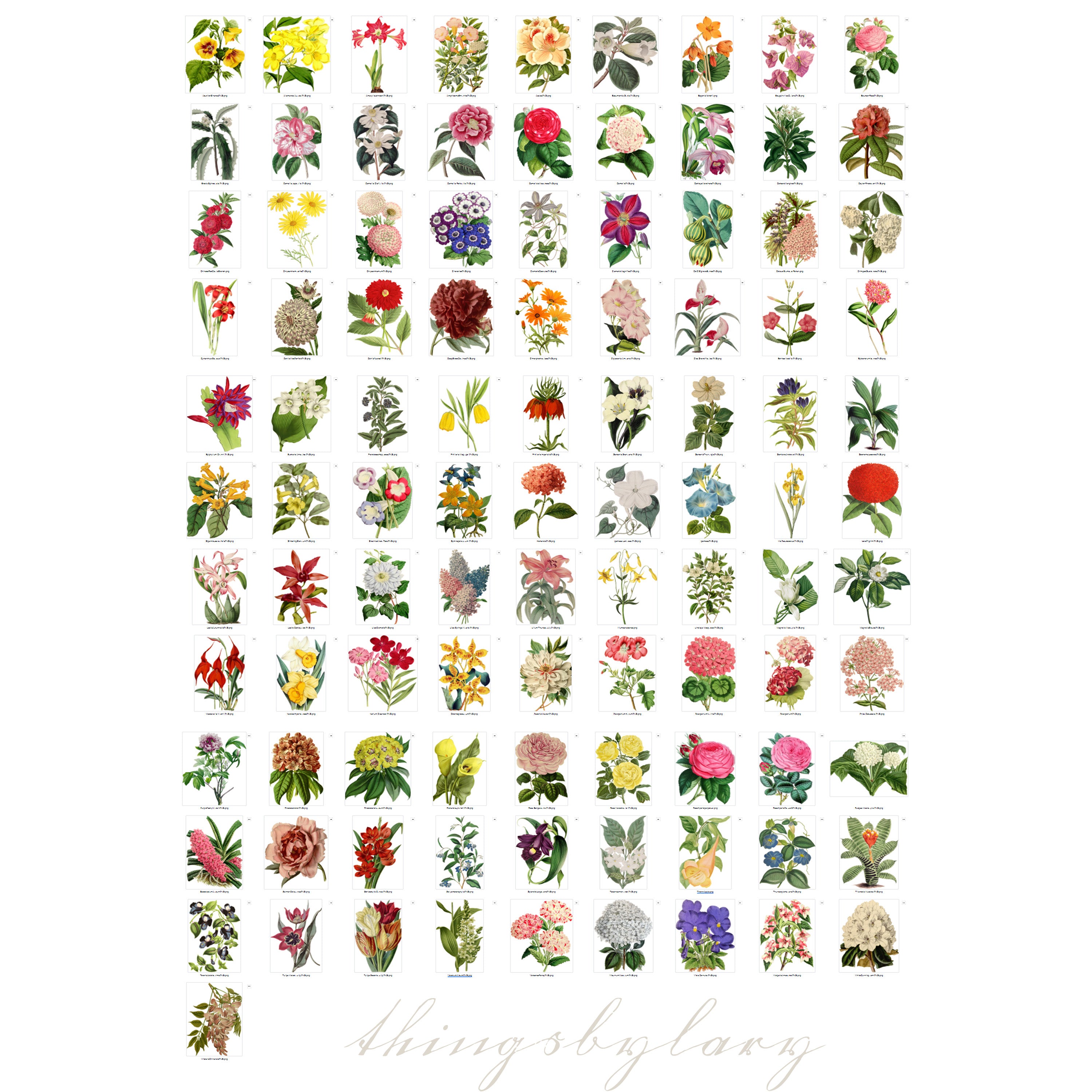 100 Vintage Flowers Mega Bundle Ephemera Vol.1 Cliparts PNG