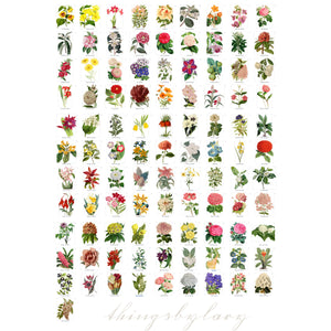 100 Vintage Flowers Mega Bundle Ephemera Vol.1 Cliparts PNG