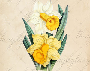 100 Vintage Flowers Mega Bundle Ephemera Vol.1 Cliparts PNG