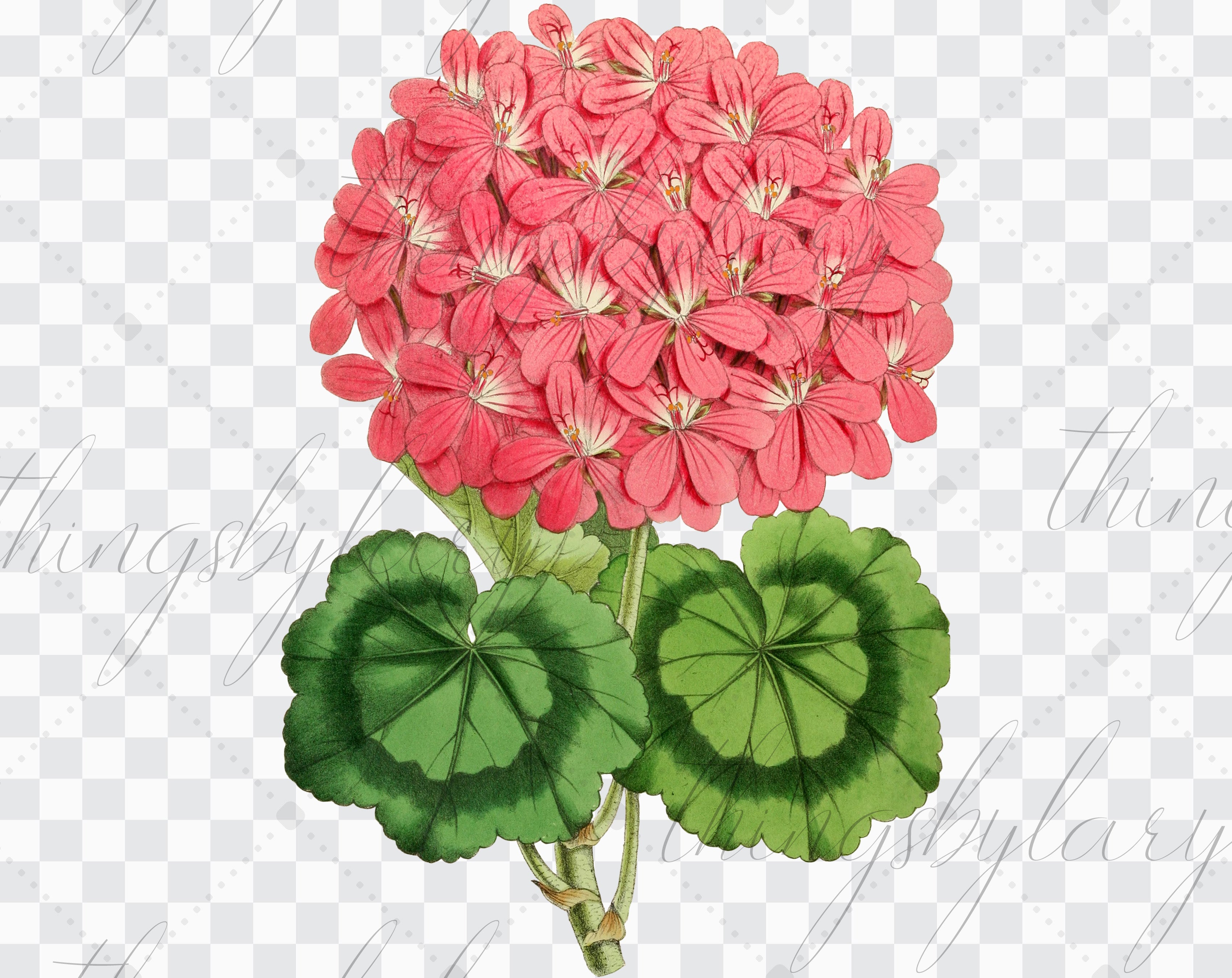 100 Vintage Flowers Mega Bundle Ephemera Vol.1 Cliparts PNG