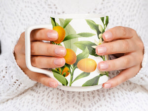12 Vintage Citrus Lime Lemon Orange Ephemera PNG Images