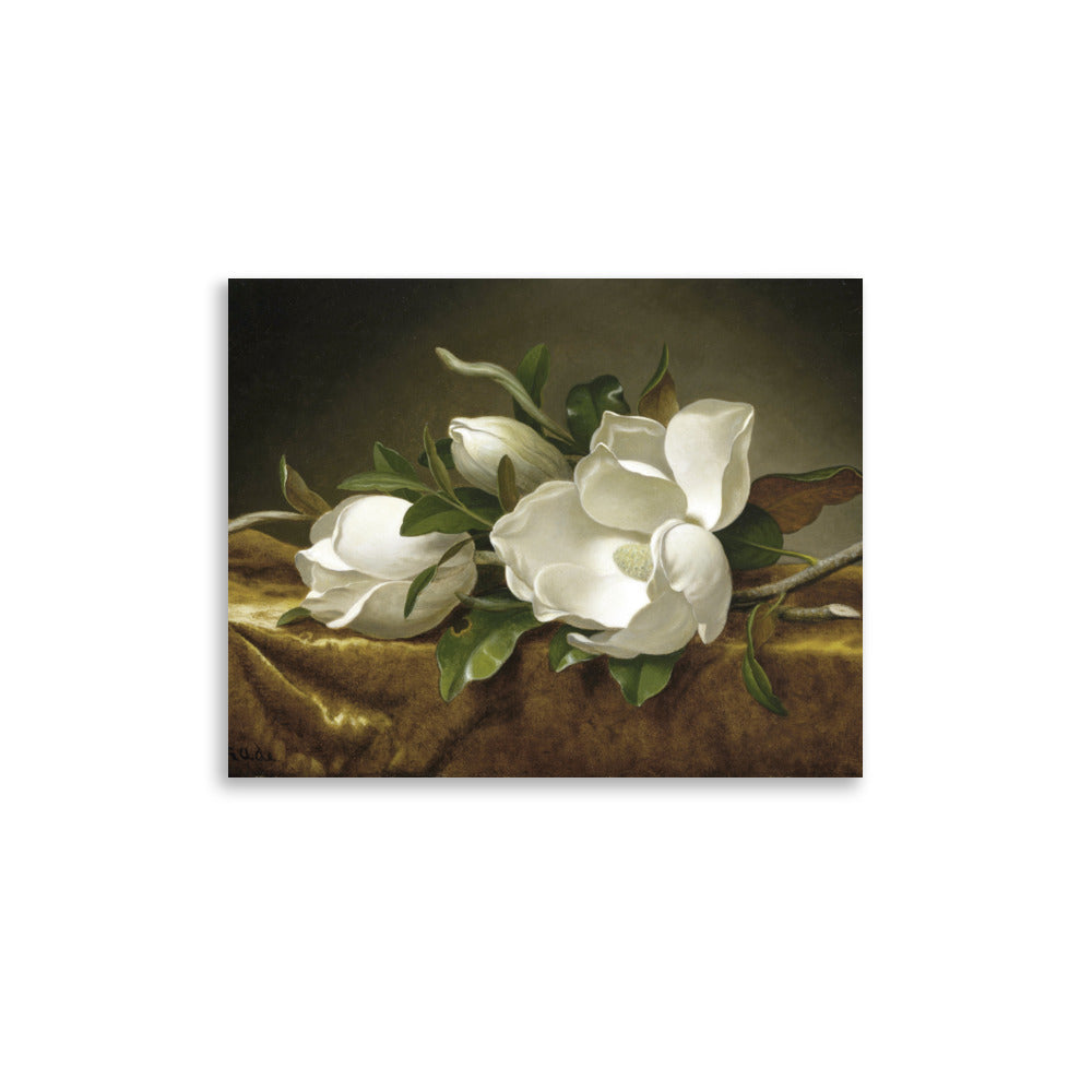 Magnolias on Gold Velvet Cloth by Martin Johnson Heade oil painting Physical Print Shipped Print Mailed Art Prints