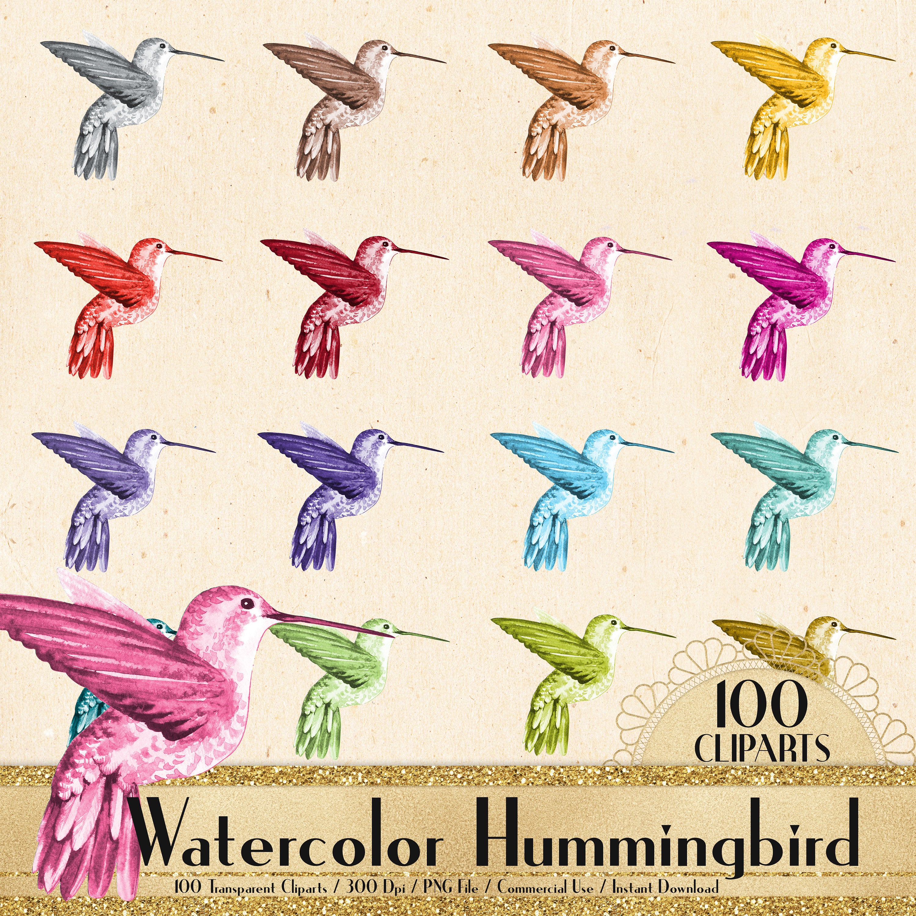 100 Watercolor Hummingbird Cliparts, Planner Clipart, Watercolor Bird Clipart, Wedding Graphic, Romantic Graphic, Hummingbird Design