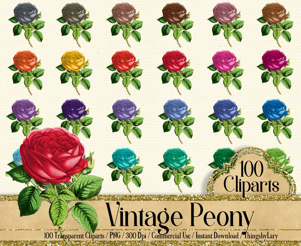 100 Wedding Peony Flower Clip Arts, 300 Dpi Planner Clipart, Scrapbooking, Digital Peony, Wedding Peony, Vintage Flower, Commercial Use