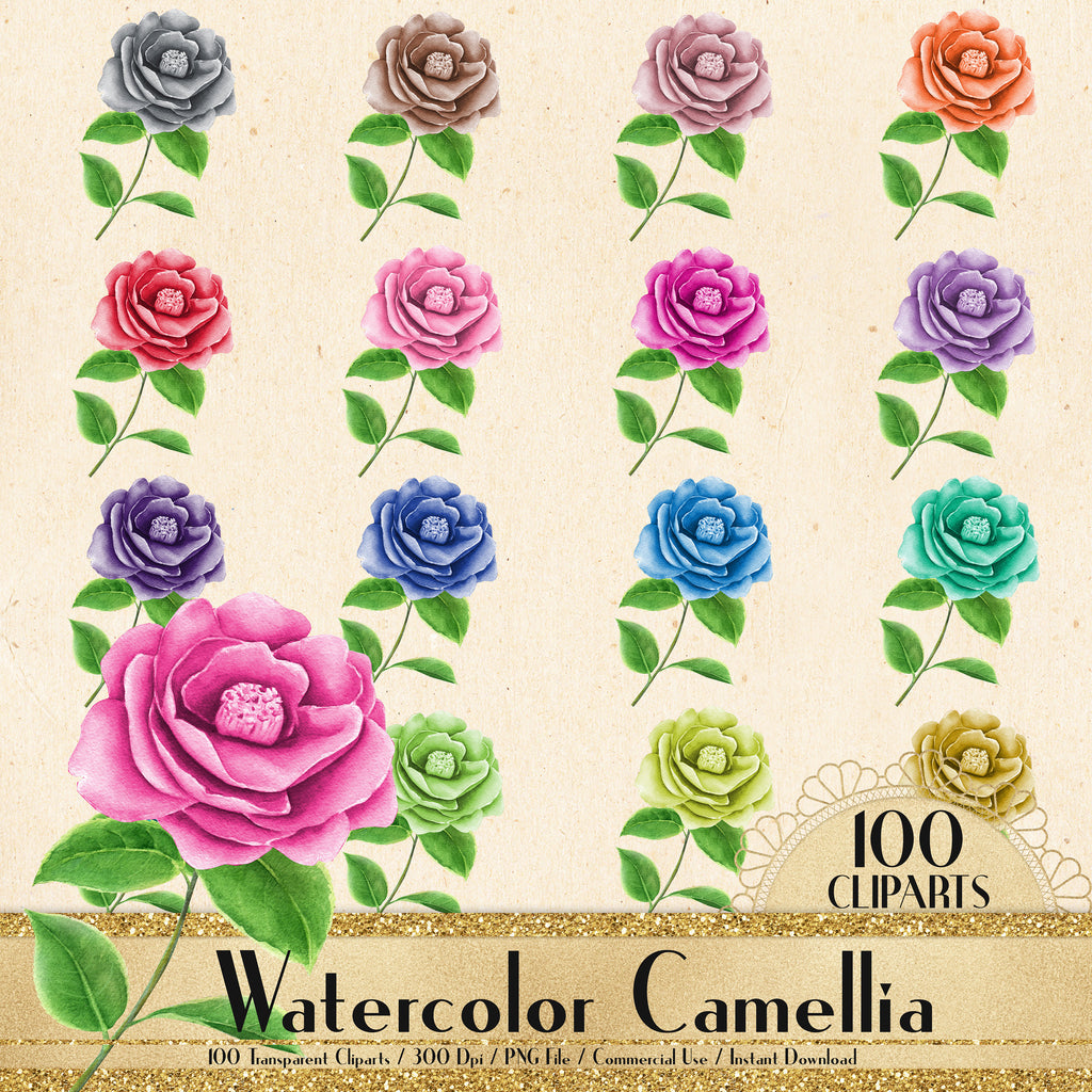 100 Watercolor Camellia Flower Clipart, Flower Clipart, Watercolor Clipart, Planner Clipart, Floral clipart, Garden Clipart, Bridal Shower