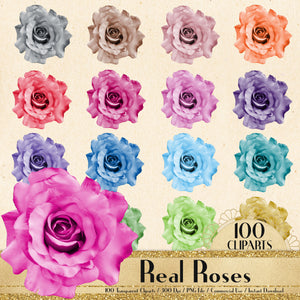 100 Real Roses Cliparts, Flower Clipart, Planner Clipart, Floral clipart, Garden Clipart, Bridal Shower, Flower Arrangement, Digital Rose