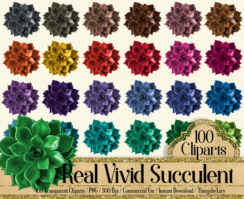 100 Real Vivid Succulent Cliparts 300 Dpi Instant Download Commercial Use, Scrapbook Botanical Kit Garden Clip Art, Succulent Plant