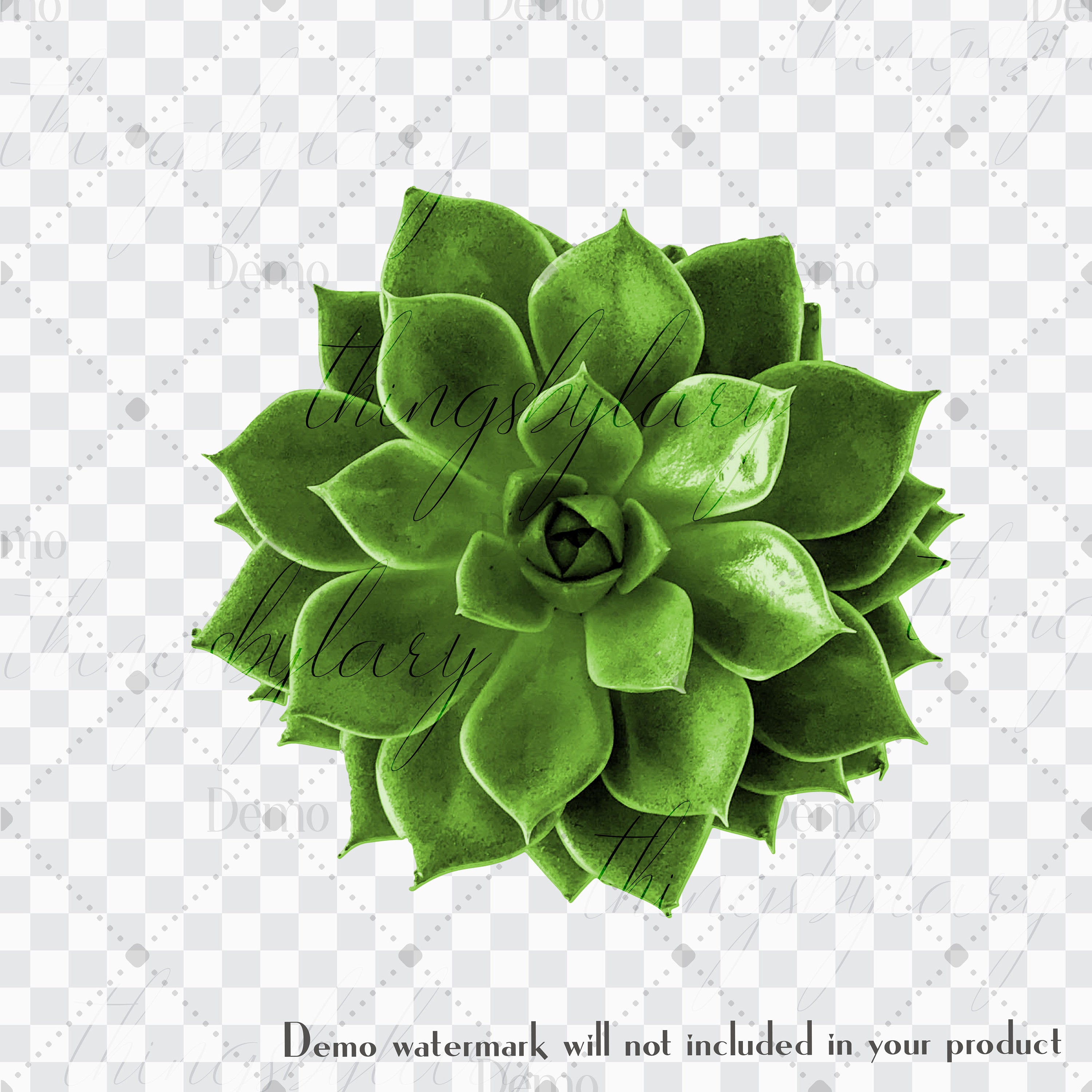 100 Real Vivid Succulent Cliparts 300 Dpi Instant Download Commercial Use, Scrapbook Botanical Kit Garden Clip Art, Succulent Plant