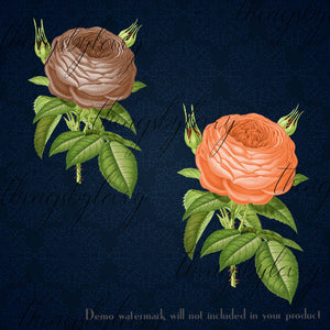 100 Antique Rose Flower Digital Images PNG 300 Dpi Instant Download Commercial Use Planner Clip art Scrapbook Vintage Peony Wedding Rose