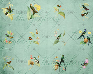 12 Vintage Humming Birds Ephemera Isolated Transparent Digital Images 300 Dpi PNG Instant Download Commercial Use Antique Shabby Chic Nature