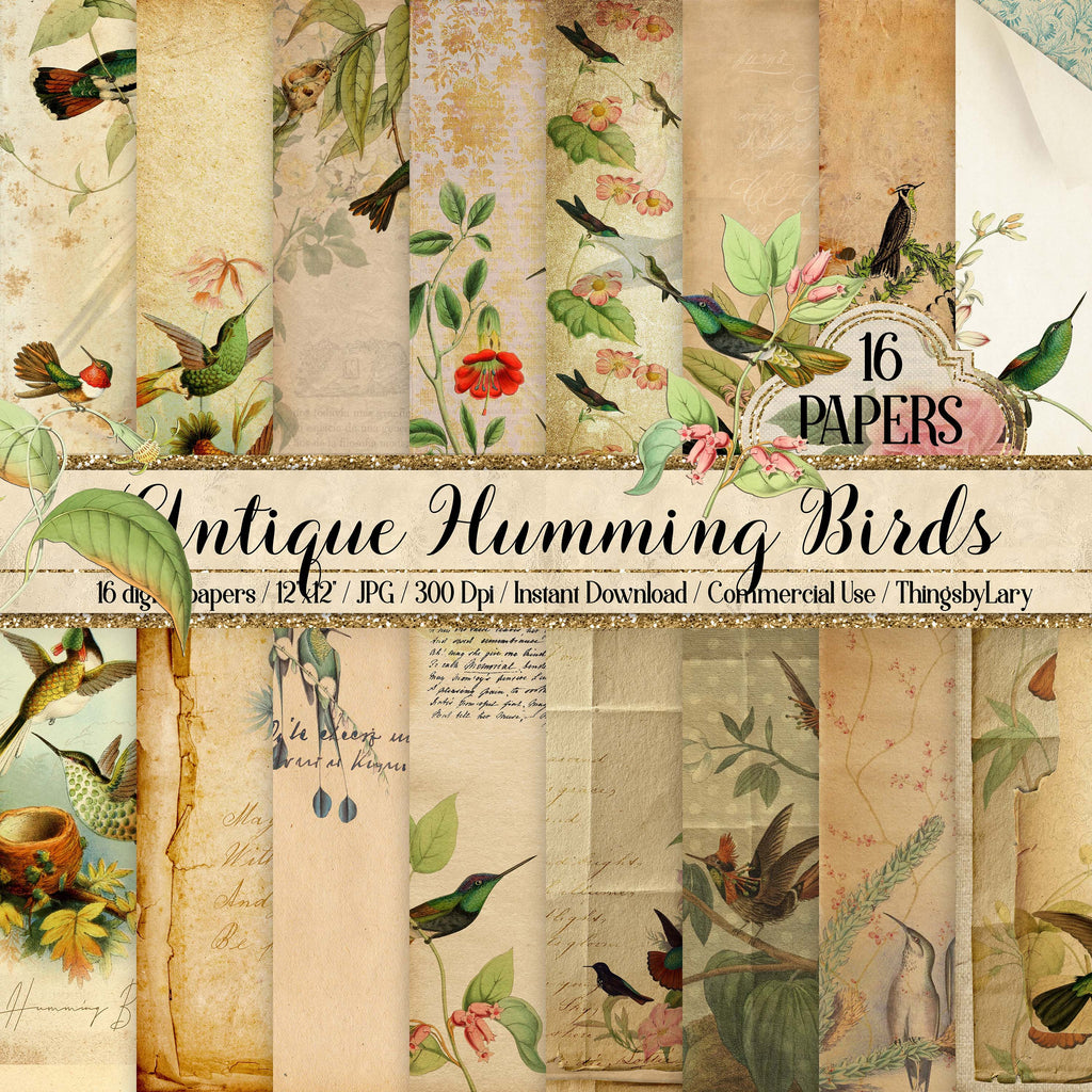 16 Antique Humming Birds Digital Papers 12&quot; 300 dpi commercial use instant download vintage ephemera birds and flower Trochilidae Nature JPG