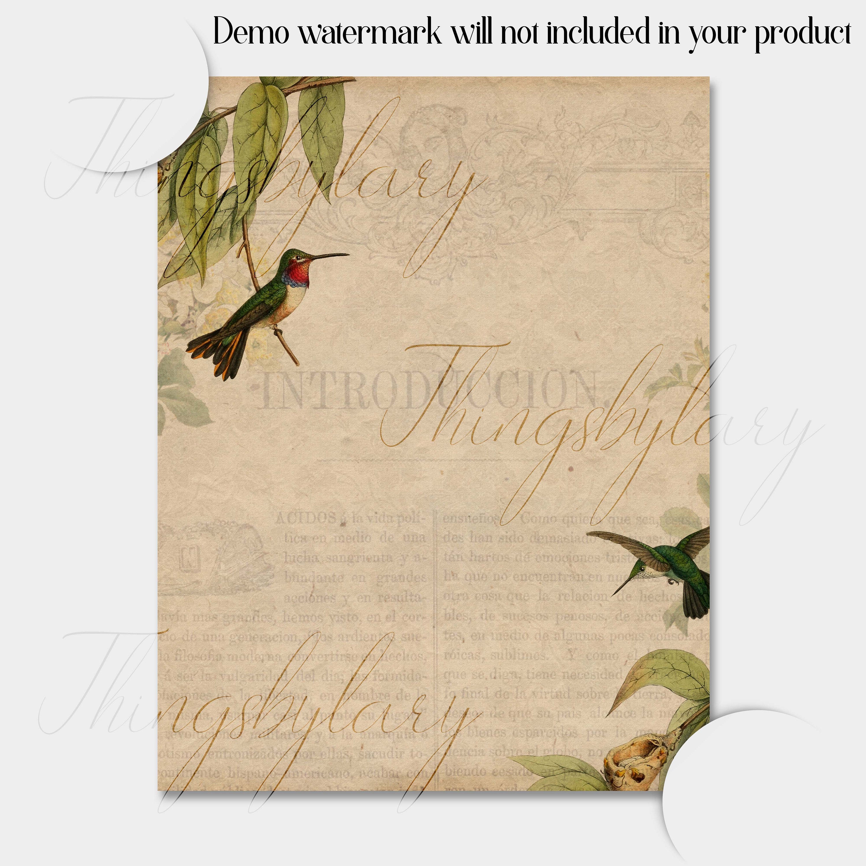 16 Antique Humming Birds Digital Papers 8.5x11 300 dpi commercial use instant download vintage ephemera birds and flower Trochilidae Nature